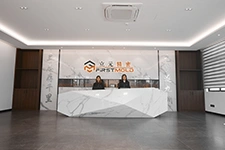 About-FirstMold Reception